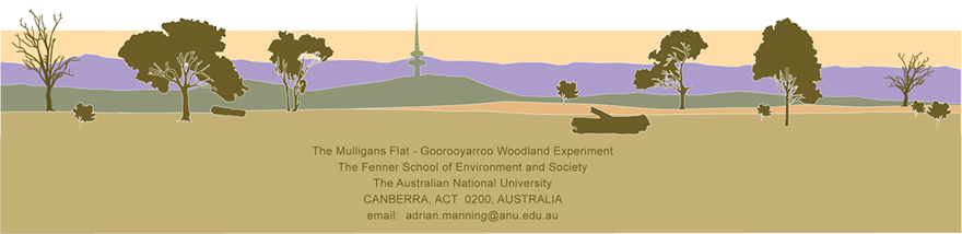 Landscape Footer with contact details