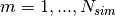 m = 1,...,N_{sim}