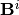 \mathbf{B}^i