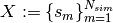 X := \{ s_m \}_{m=1}^{N_{sim}}